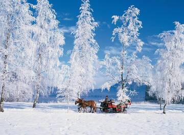 Фото Гостевой дом Pensiunea Bella Vita г. Харгита-Бэй 1